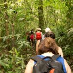Panama rainforest hike