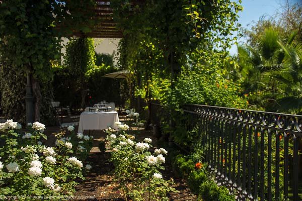 The Vintage House Hotel garden dining