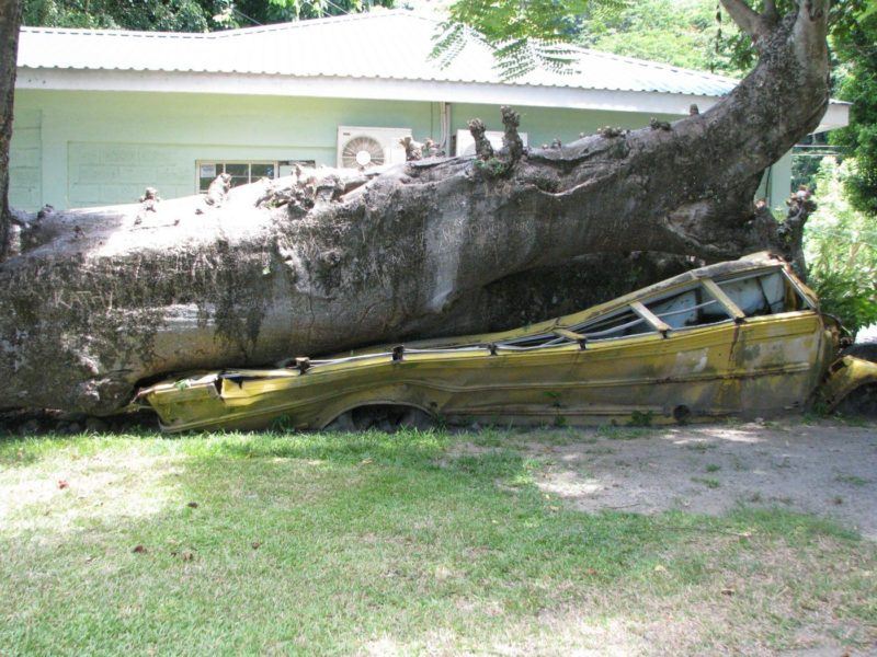 Bus crushed by a hurricane. An icon in the Botanical Gardens in Roseau Dominica