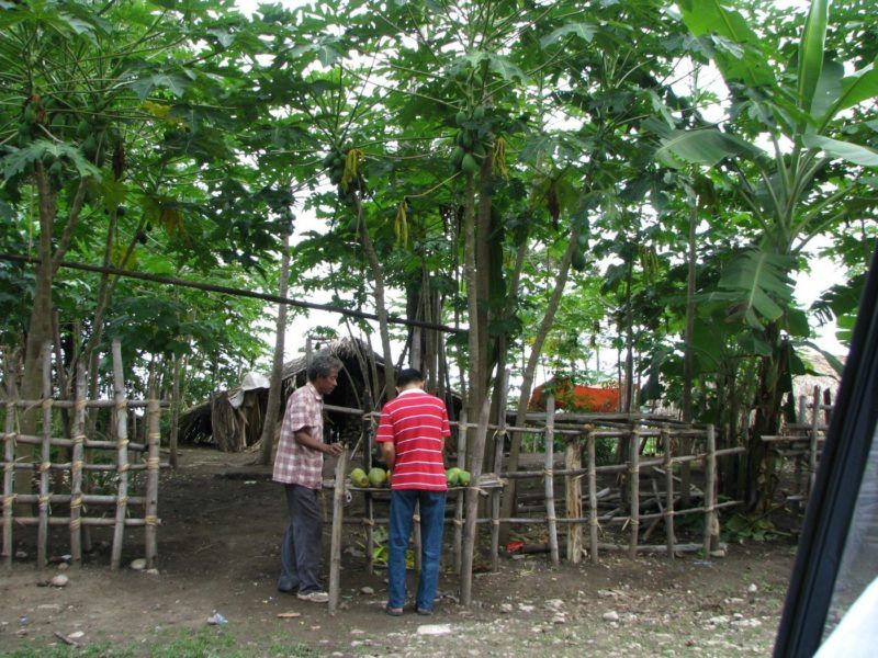 Johny stops to buy some fruit from a man during our road trip to soe 