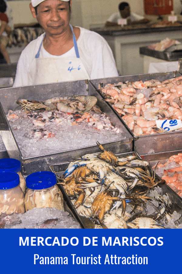 man stands behind a counter of shellfish on ice at the Panama City fish market. Text overlay says Mercado de Mariscos Panama Tourist Attraction