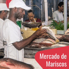 One of the most underrated things to do in Panama's capital is visiting Panama City's fish market, or Mercado de Mariscos, as the Panamanians call it. It's a top attraction in Panama City and a perfect way to connect with the locals. #Panama #travel #food #markets