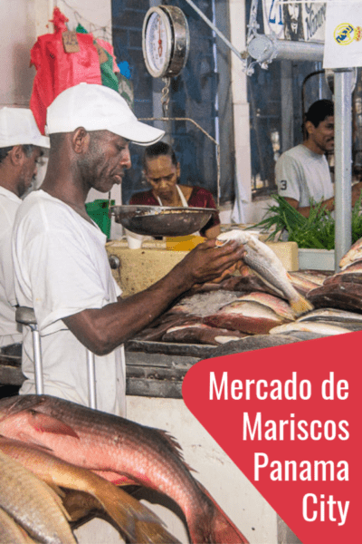 One of the most underrated things to do in Panama's capital is visiting Panama City's fish market, or Mercado de Mariscos, as the Panamanians call it. It's a top attraction in Panama City and a perfect way to connect with the locals. #Panama #travel #food #markets