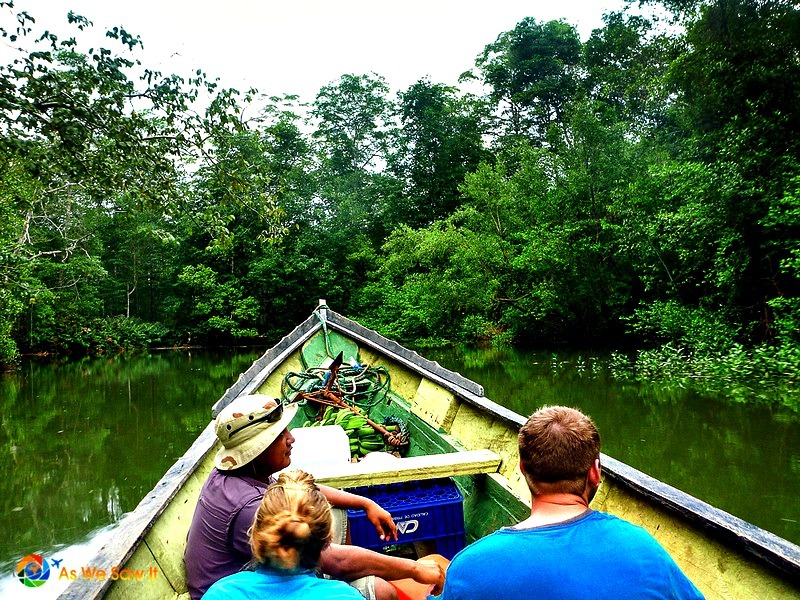 boating down the river in the Darien rainforest