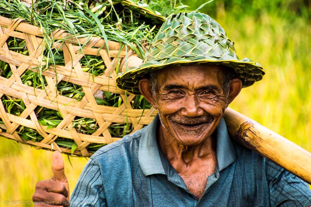 Man in rice paddy • As We Saw It