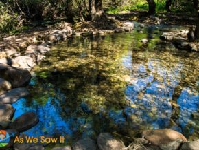 Wading pool at Tel Dan Nature Reserve Israel