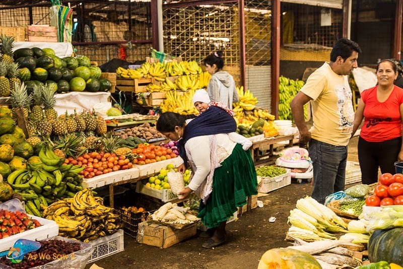 amazoonico Ecuador