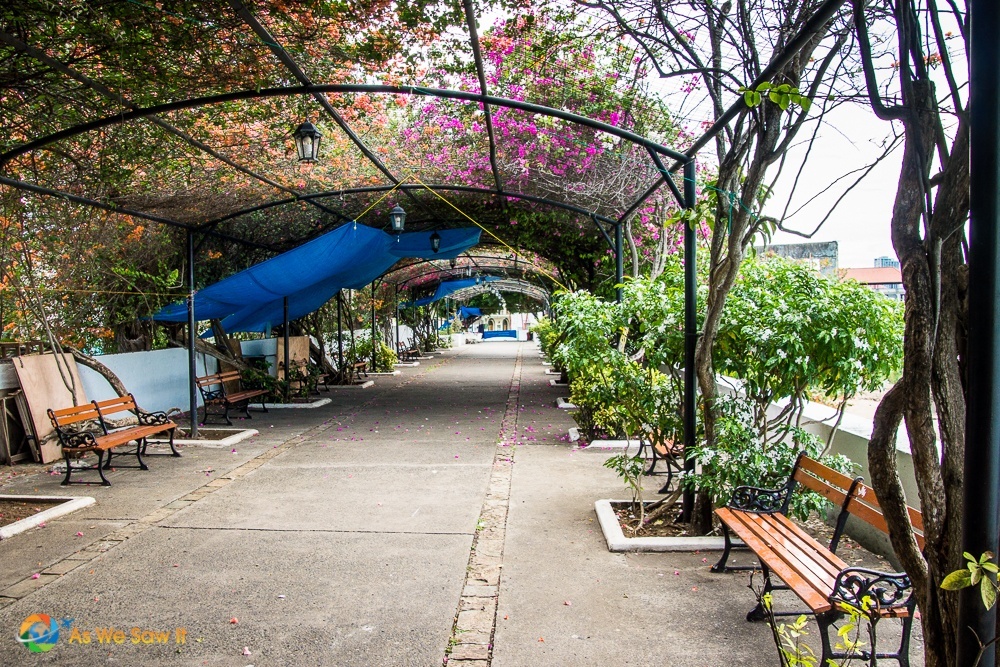 Bougainvillea Covered Walkway