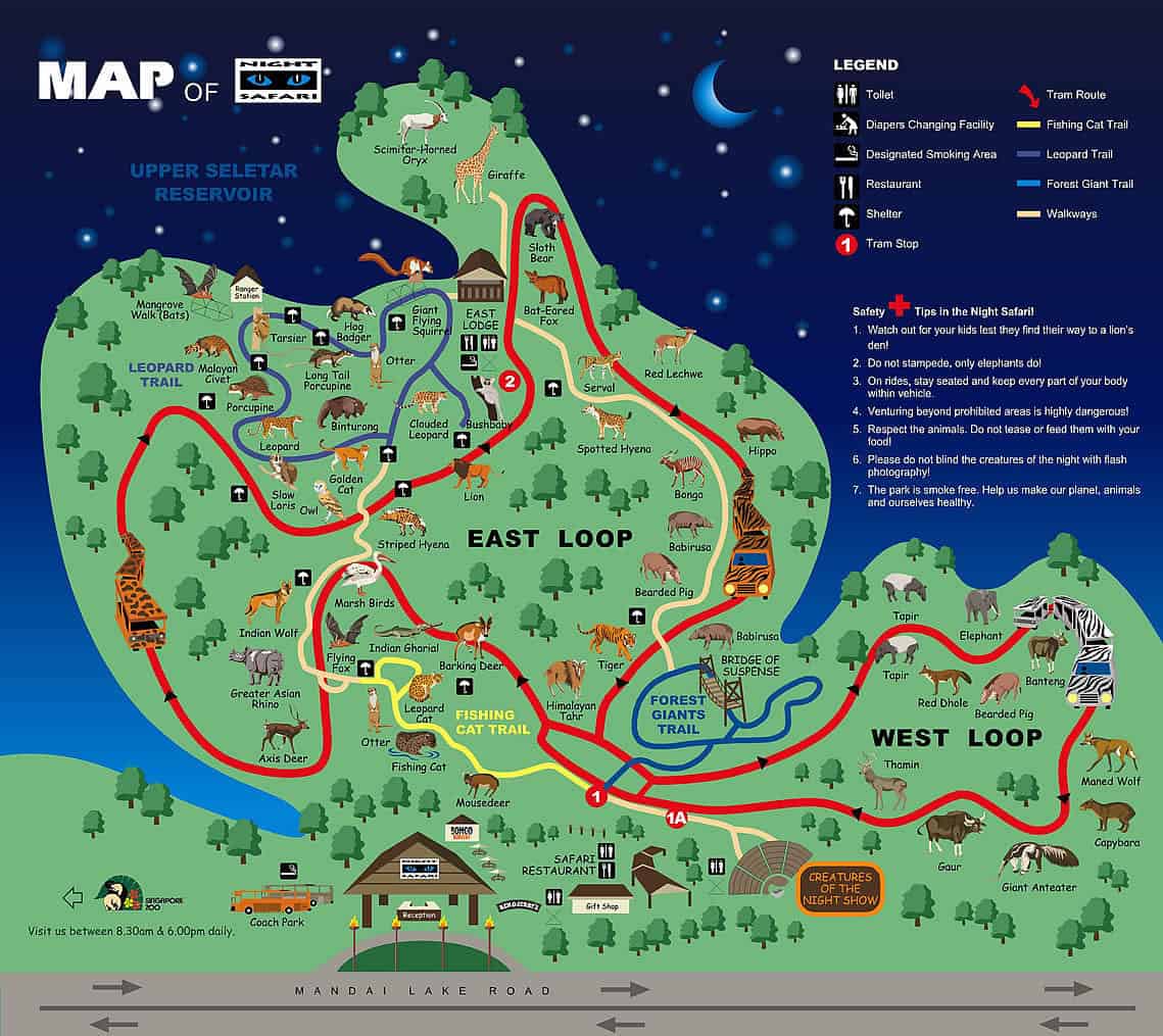 singapore zoo night safari map