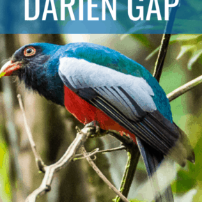 colorful bird text says crossing the darien gap