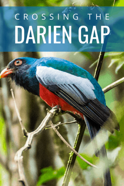 colorful bird text says crossing the darien gap