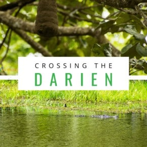 hanging termite nest and crocodile text says crossing the darien