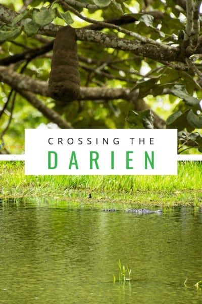 hanging termite nest and crocodile text says crossing the darien