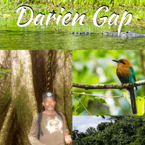 Collage from rain forest text says crossing the darien gap