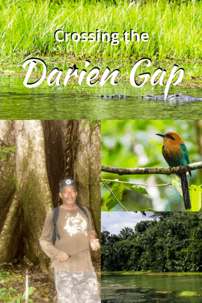 Collage from rain forest text says crossing the darien gap