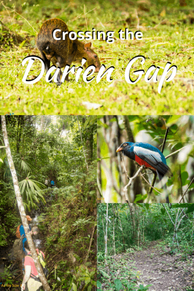 Collage from rain forest text says crossing the darien gap