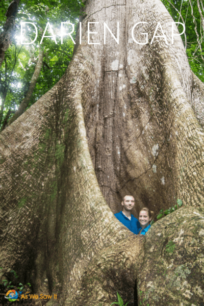 couple in large ficus text says darien