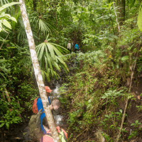 trekking in the darien rain forest text says darien