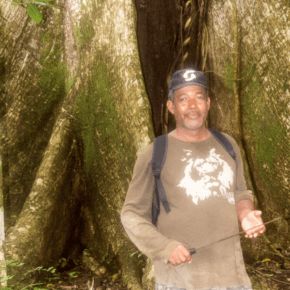 guide text says darien