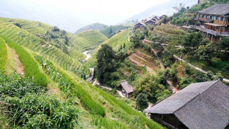 houses and narrow garden terraces line steep hills in China. Switchback staircase winds its way to the bottom.