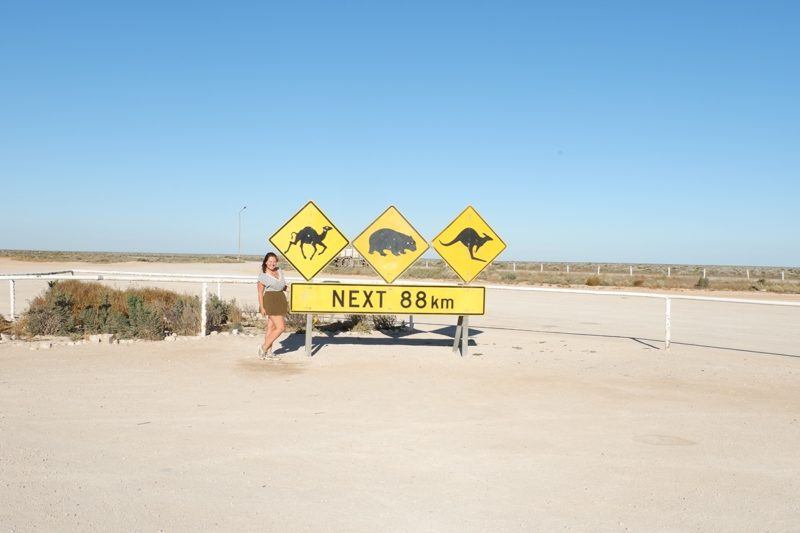 Woman's standing in front of Animal Crossing signs. Animals include kangaroo camel and wombat.