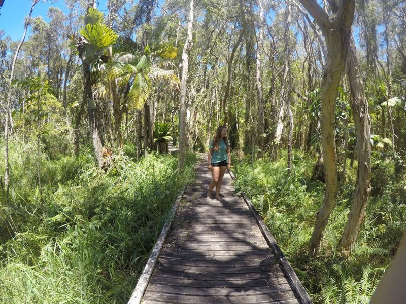 Woman walking on a boardwalk in Byron Bay Jungle
