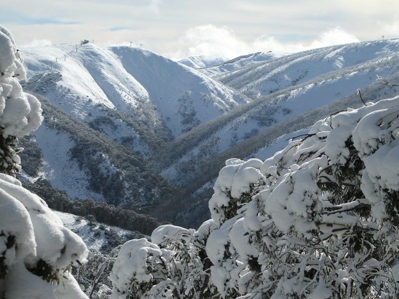 snow-covered hills of Mt Hotham Ski Resort Australia, Snow covered branches in foreground