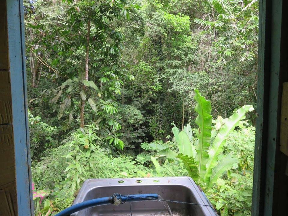 The jungle of Costa Rica, seen from a doorway. In the foreground: a hose pours water into a stainless steel sink basin. This was one of their most rustic house sitting jobs