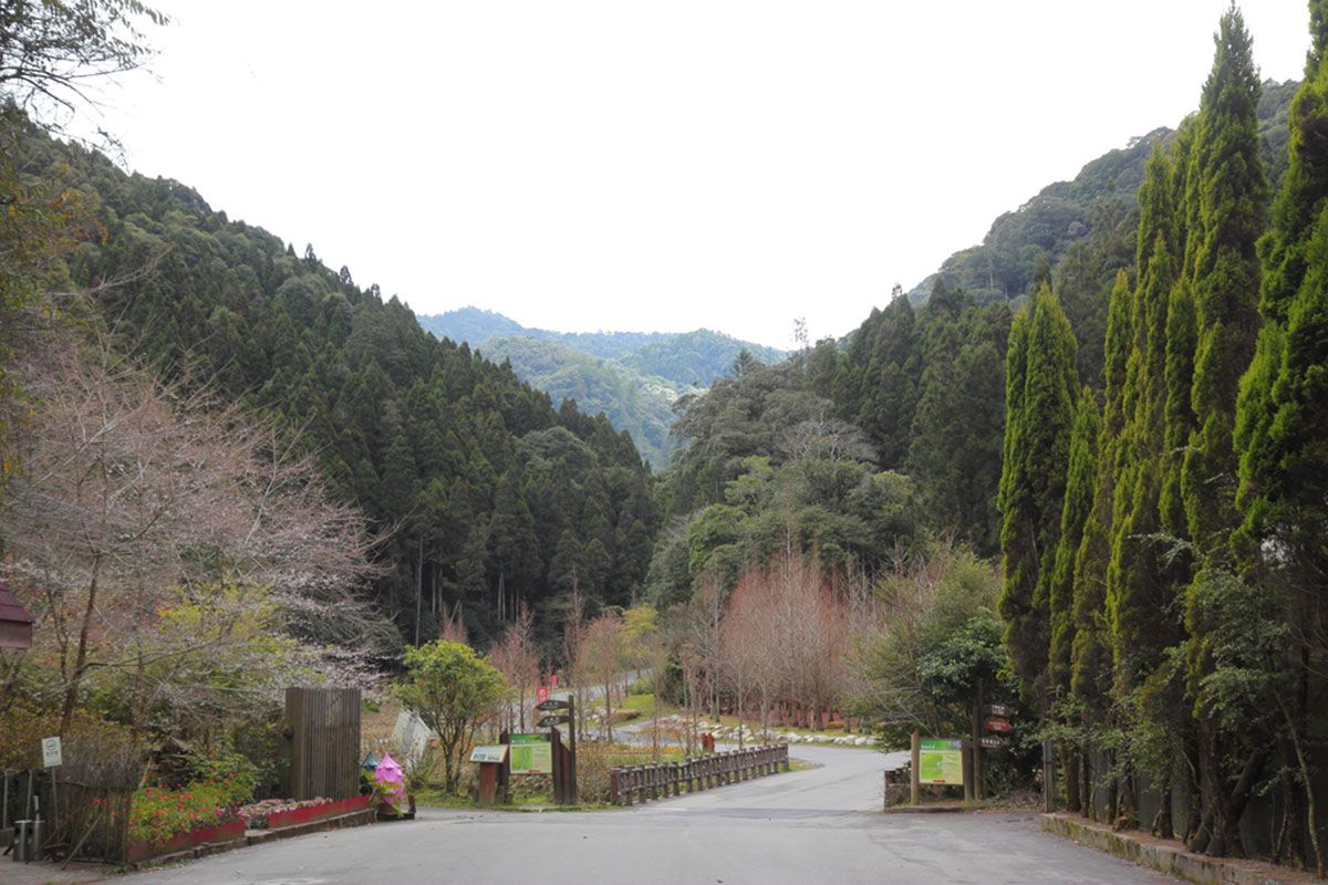 Roadway through the mountains in Shanlinxi Forest Recreation Area, another Taiwan must see.