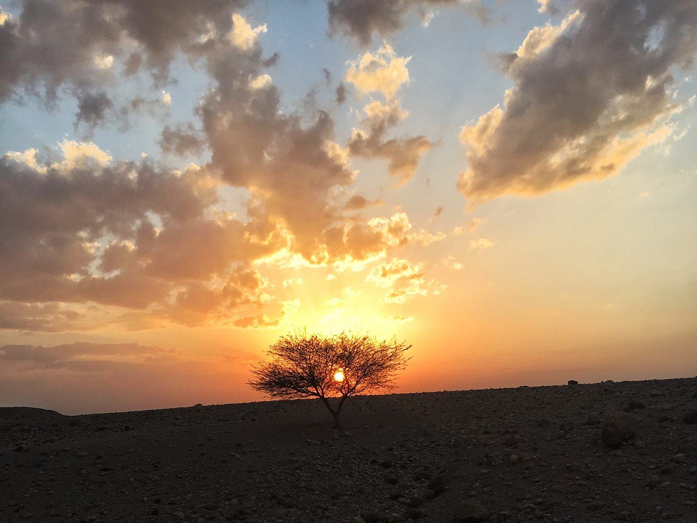 things to know before visiting jordan Jordan, Destinations, Middle East, Travel Inspiration