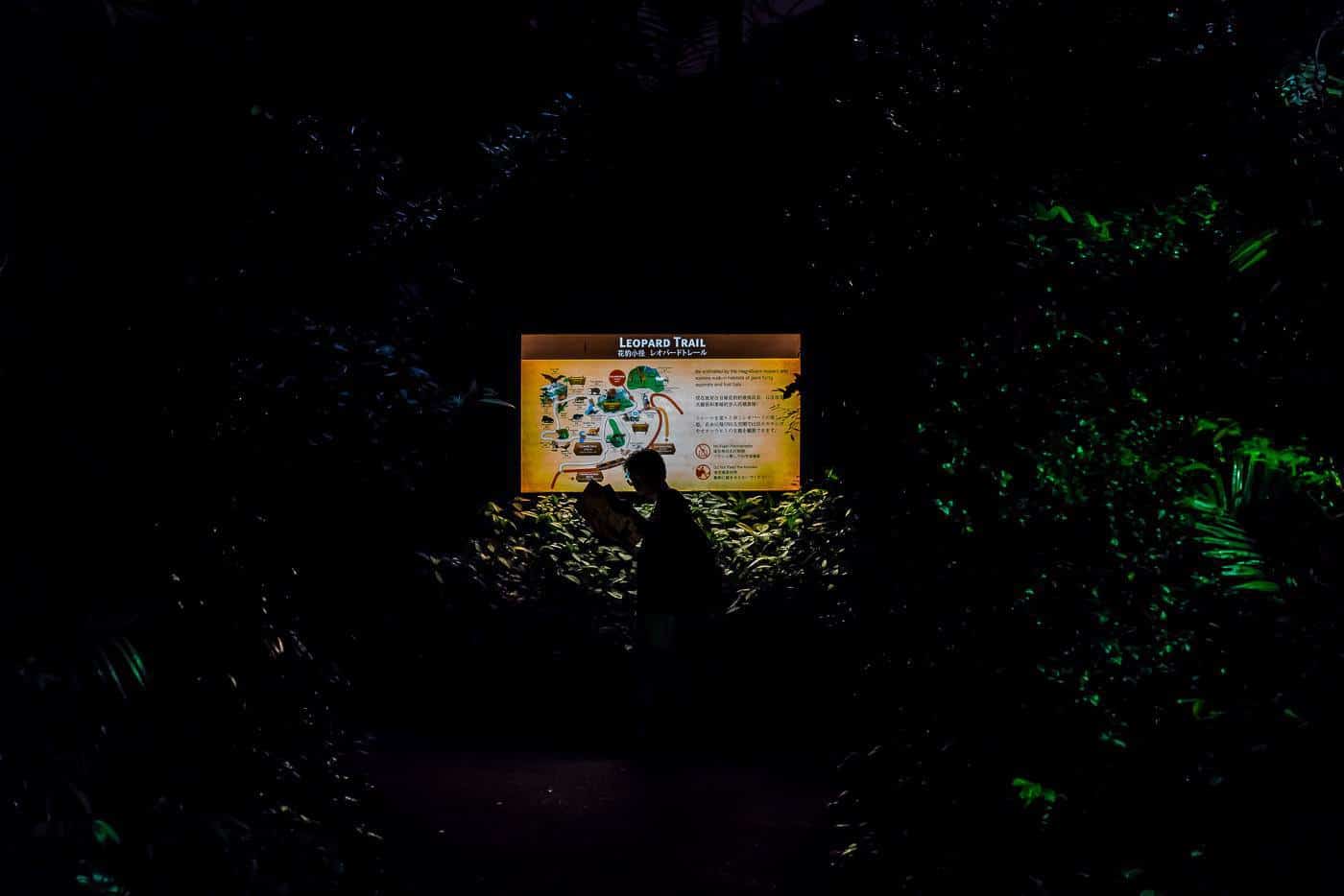 A man scans his map at Singapore Zoo night safari