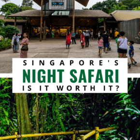 entry and path at singapore night safari text says singapore's night safari, is it worth it?