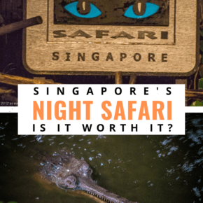 Sign and gharial text says singapore's night safari, is it worth it?