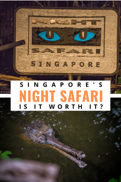 is the night safari worth it