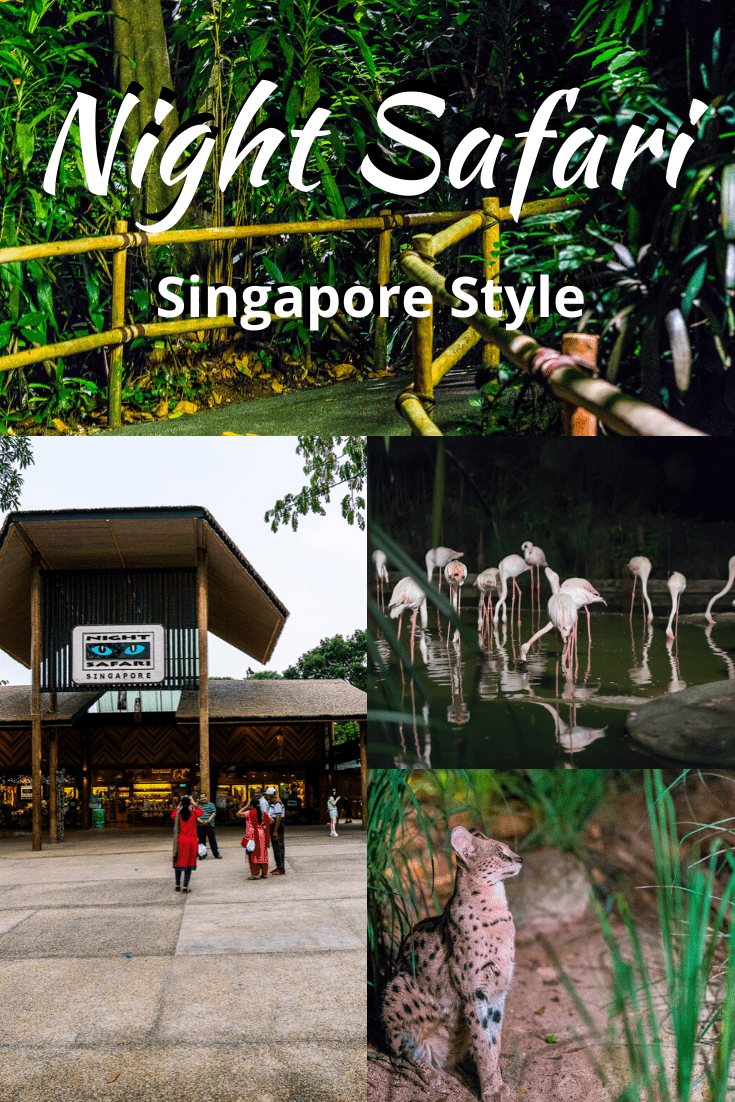 night safari singapore opinie