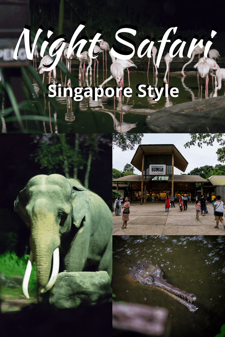 A Guide to the Singapore Night Safari Worth It?