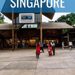 entry into singapore night safari text says a night safari in singapore
