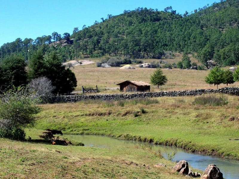 Small house in field with fence and stream in foreground and wooded hill in background.