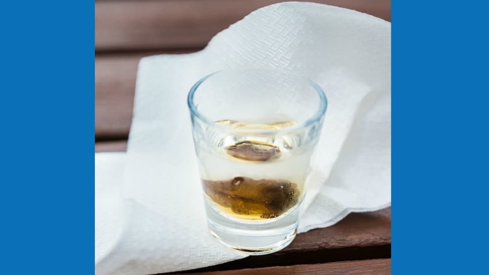 Hungarian palinka