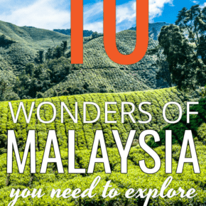 Rows of tea on plantation with text overlay "10 wonders of Malayasia you need to explore"