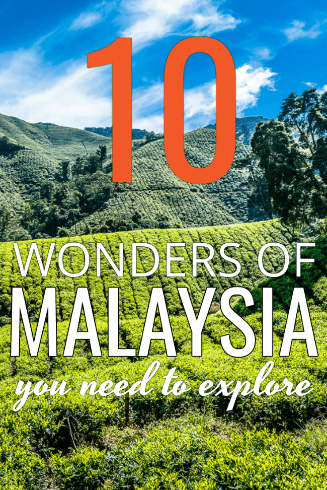 Rows of tea on plantation with text overlay 10 wonders of Malayasia you need to explore