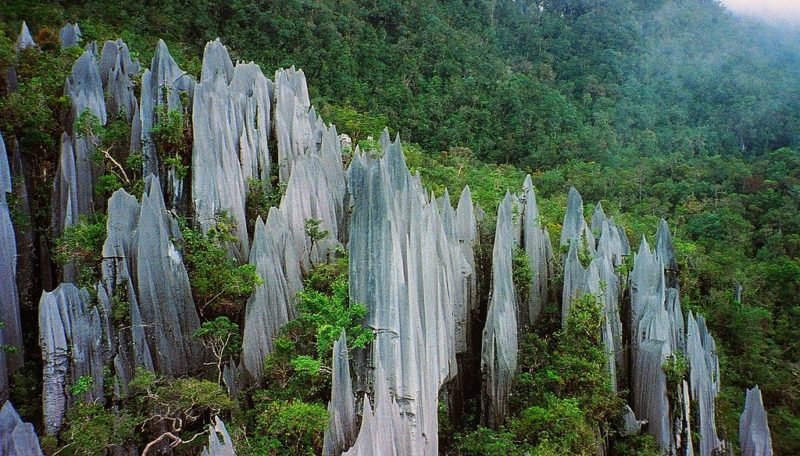 Pinnacles at Gunung Mulu National Park