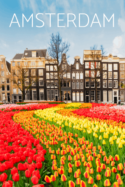 winding flower pattern leading to dutch buildings text says amsterdam