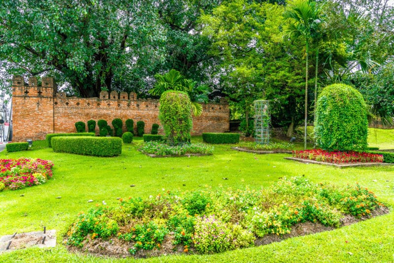 greenery along chiang mai wall