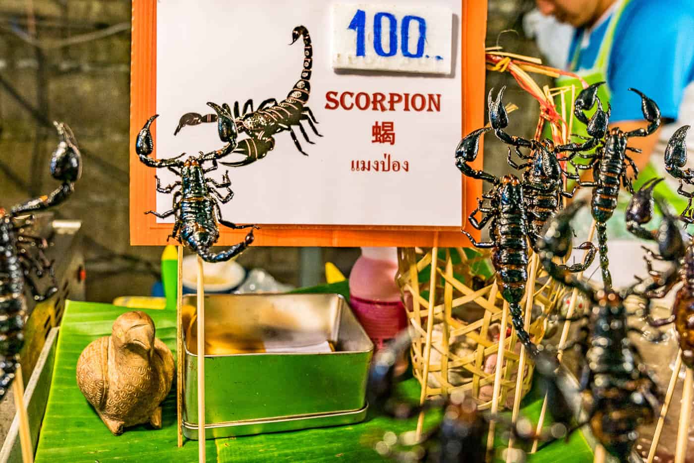 street food chiang mai scorpion