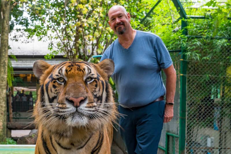 tiger kingdom chiang mai