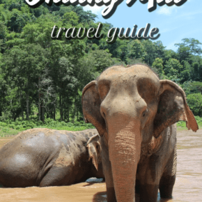 Two elelphants with text overlay that says chiang mai travel guide