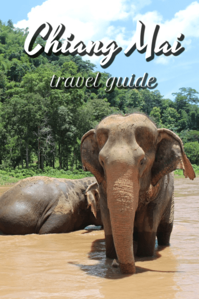 Two elelphants with text overlay that says chiang mai travel guide