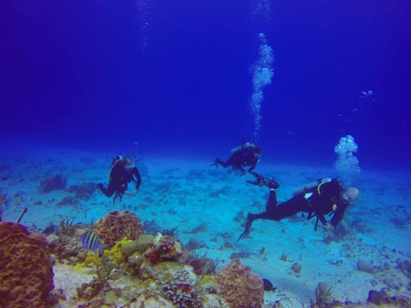 Three divers with coral reef and caribbean fish in the foreground