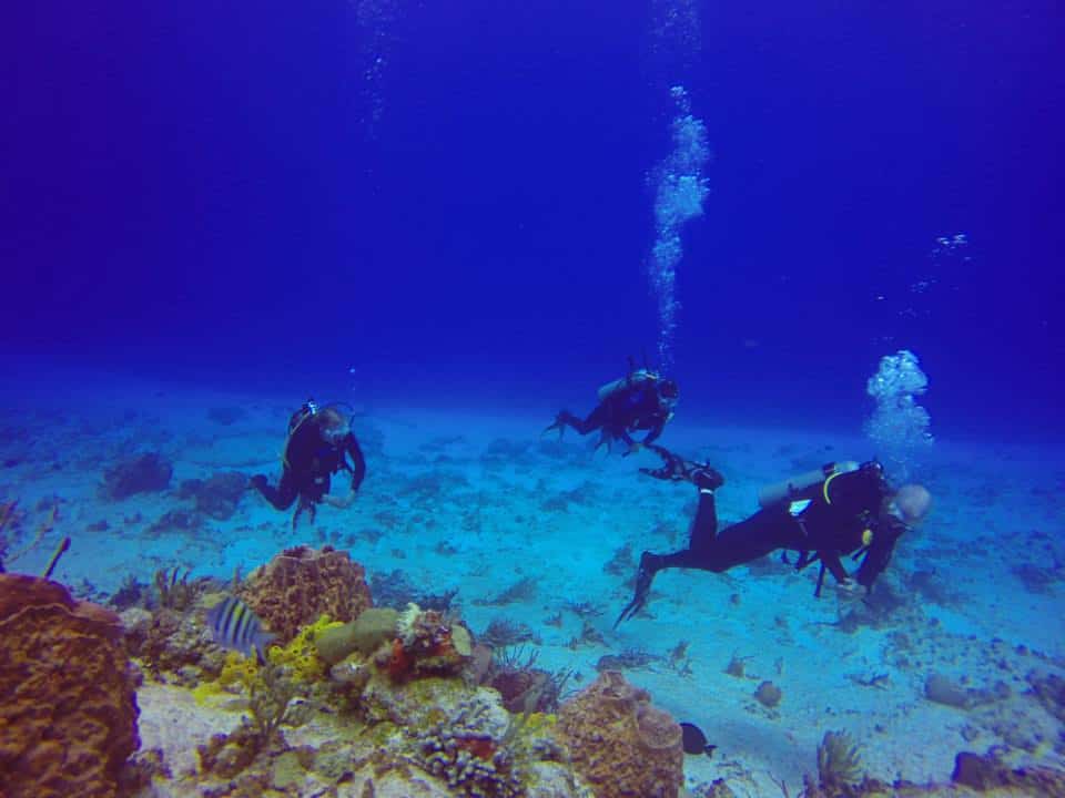 Three divers with coral reef and caribbean fish in the foreground